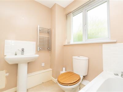 Picture 21